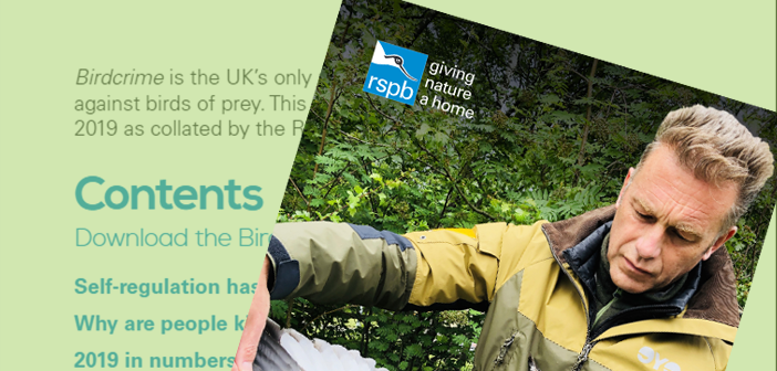 RSPB Birdcrime Report 2019